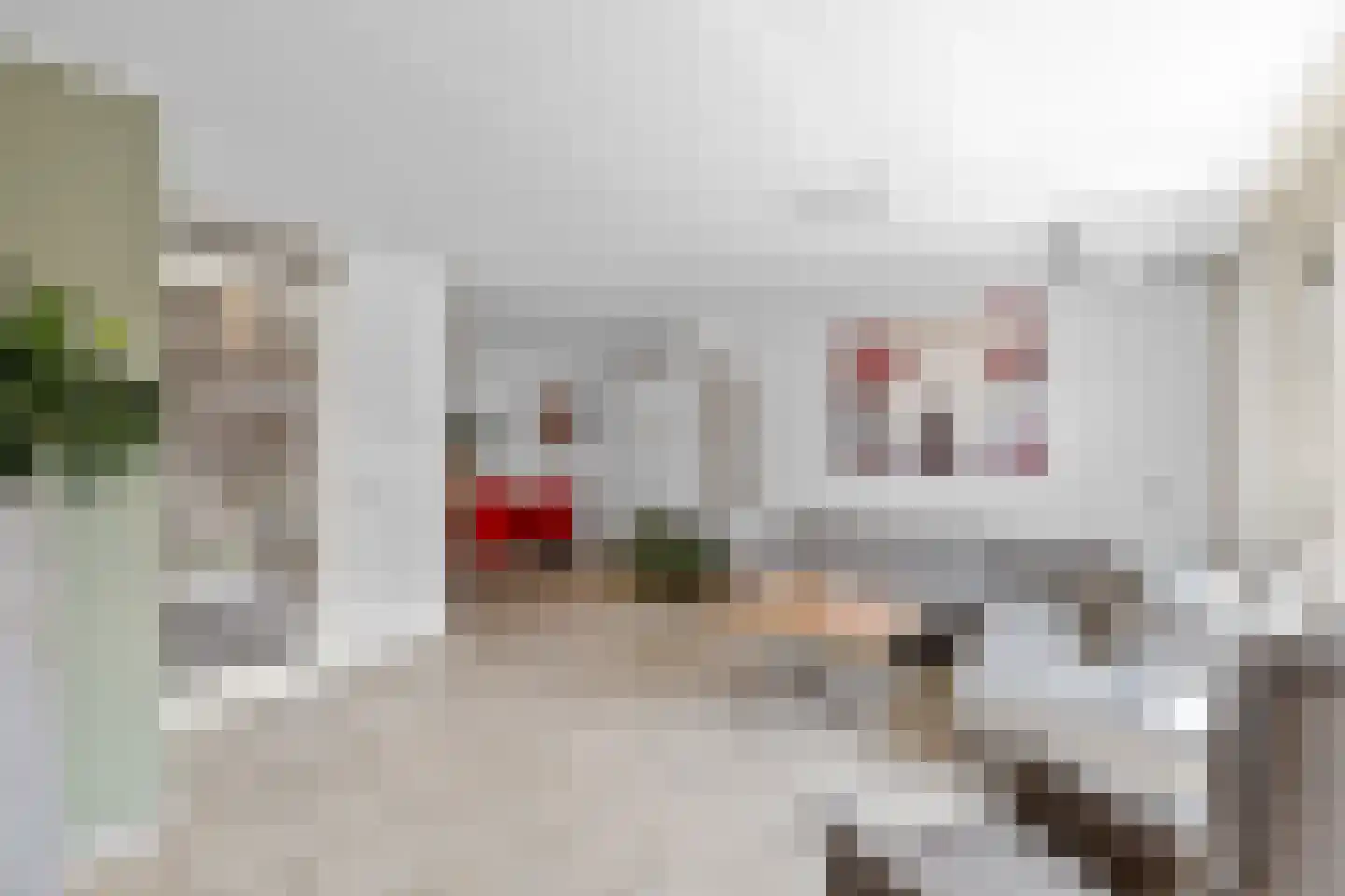 Vader Vincentiusstraat 3 Oudenbosch thumbnail 7