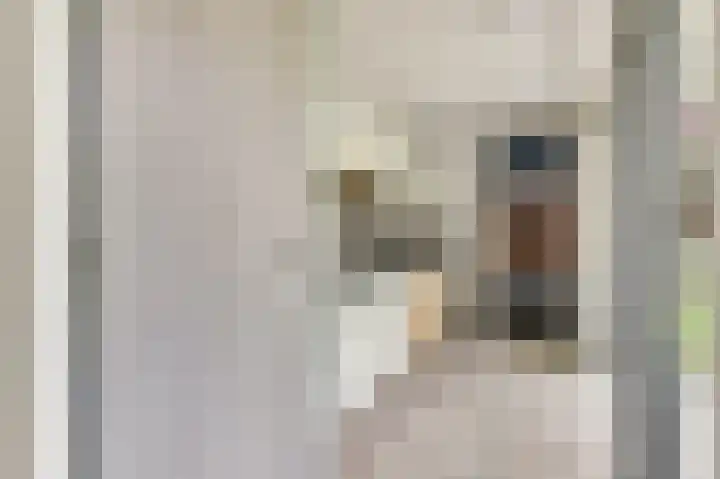 Vadersgroet 5 Zuid-Scharwoude thumbnail 14