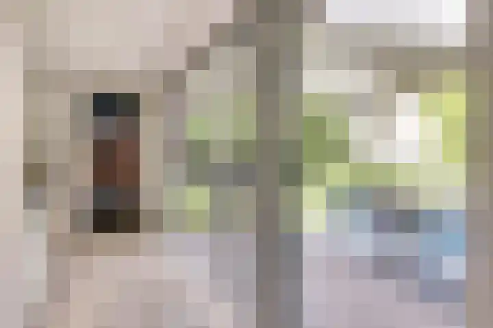 Vadersgroet 5 Zuid-Scharwoude thumbnail 15