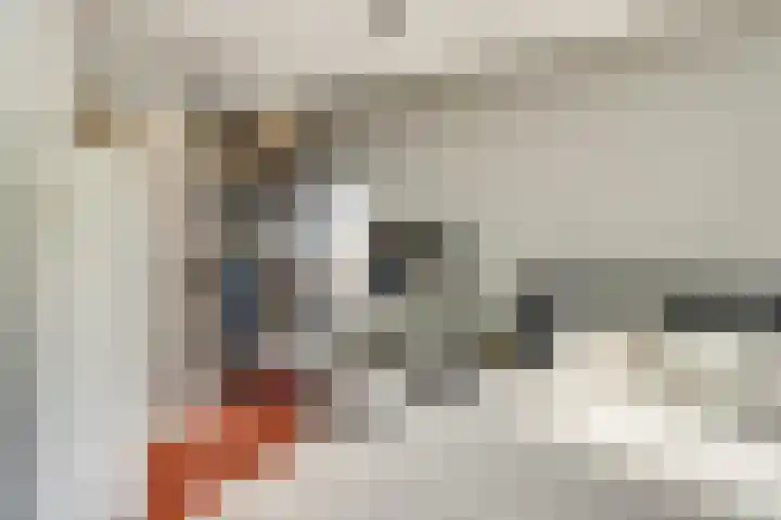 Vadersgroet 5 Zuid-Scharwoude thumbnail 23