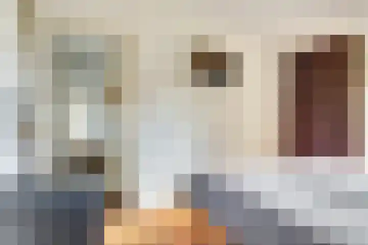 Vadersgroet 5 Zuid-Scharwoude thumbnail 24