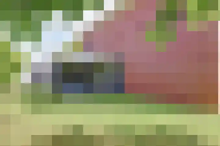 Vadersgroet 5 Zuid-Scharwoude thumbnail 35