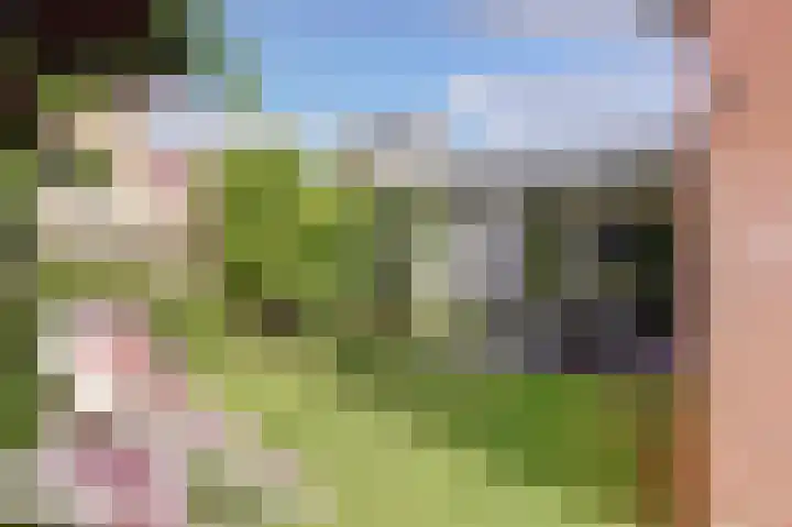 Vadersgroet 5 Zuid-Scharwoude thumbnail 37
