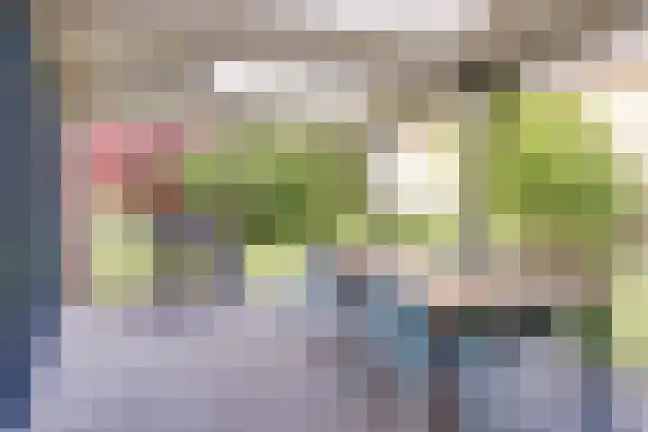 Vadersgroet 5 Zuid-Scharwoude thumbnail 40
