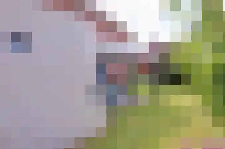 Vadersgroet 5 Zuid-Scharwoude thumbnail 45