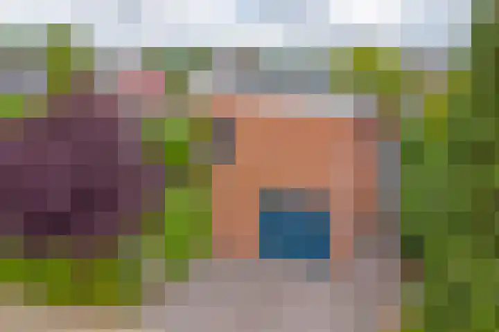Vadersgroet 5 Zuid-Scharwoude thumbnail 46