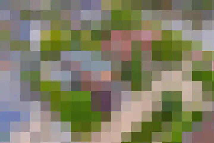 Vadersgroet 5 Zuid-Scharwoude thumbnail 48