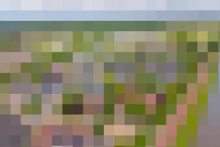 Vadersgroet 5 Zuid-Scharwoude thumbnail 49