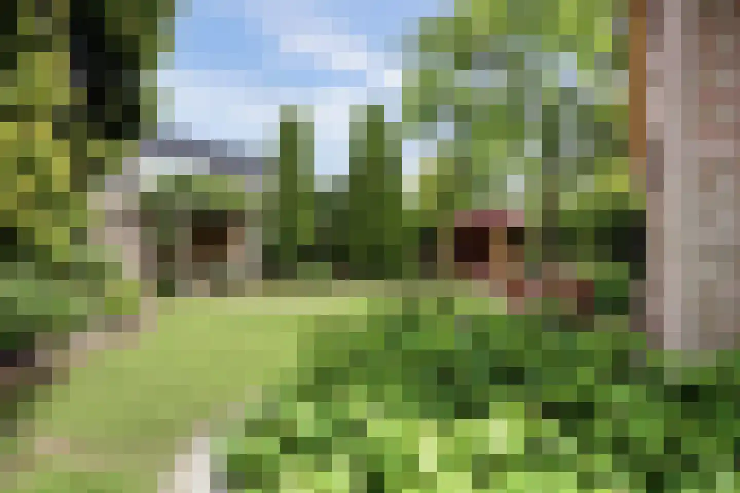 Vadersgroet 7 Zuid-Scharwoude thumbnail 13