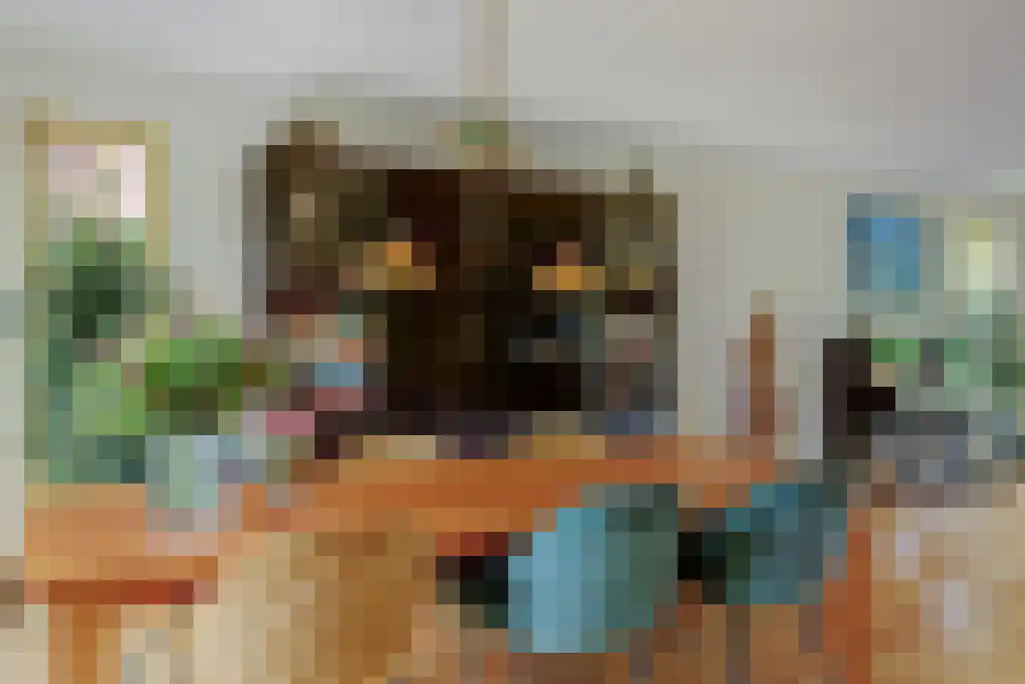 Vadersgroet 7 Zuid-Scharwoude thumbnail 17