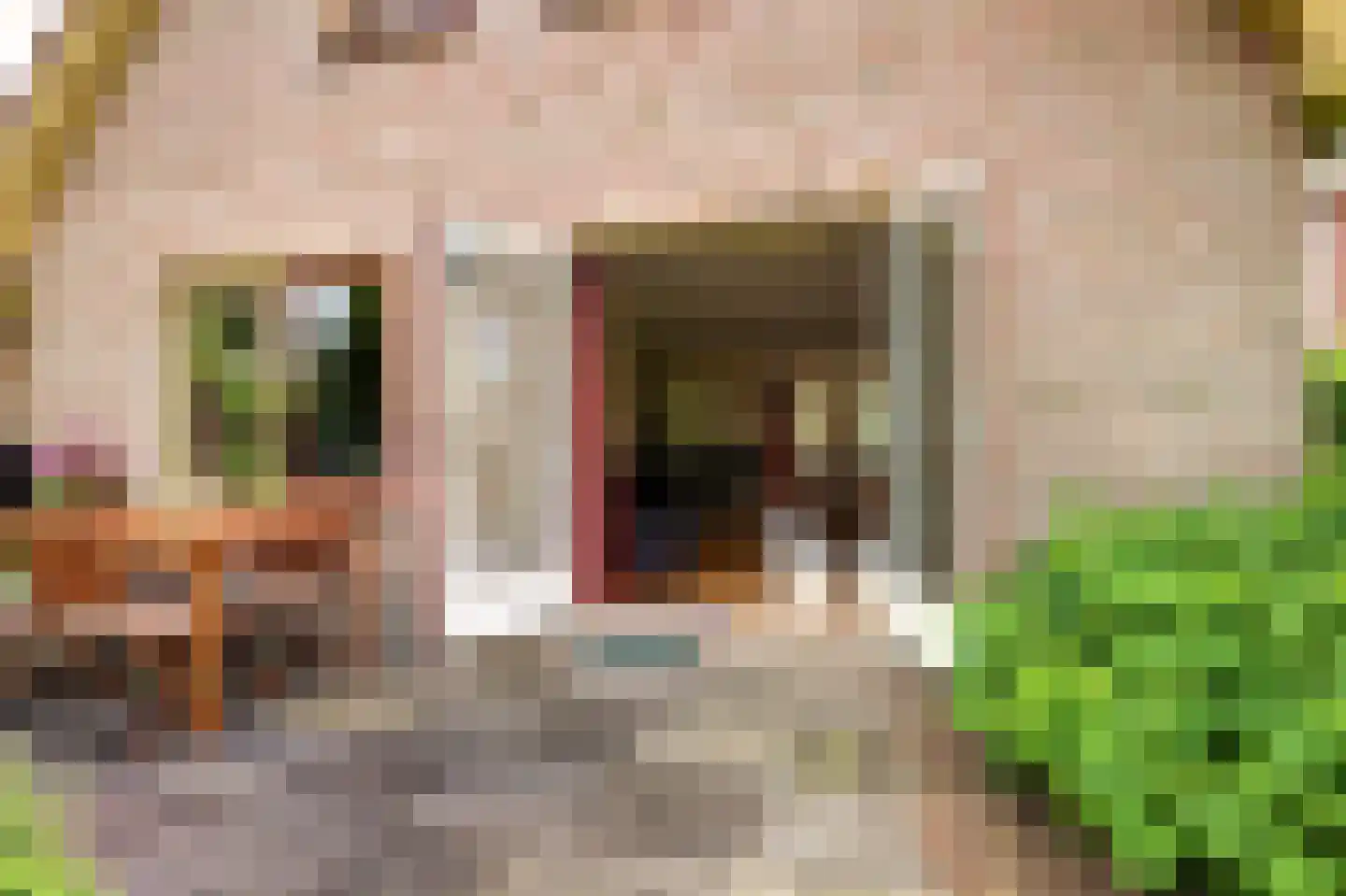 Vadersgroet 7 Zuid-Scharwoude thumbnail 47