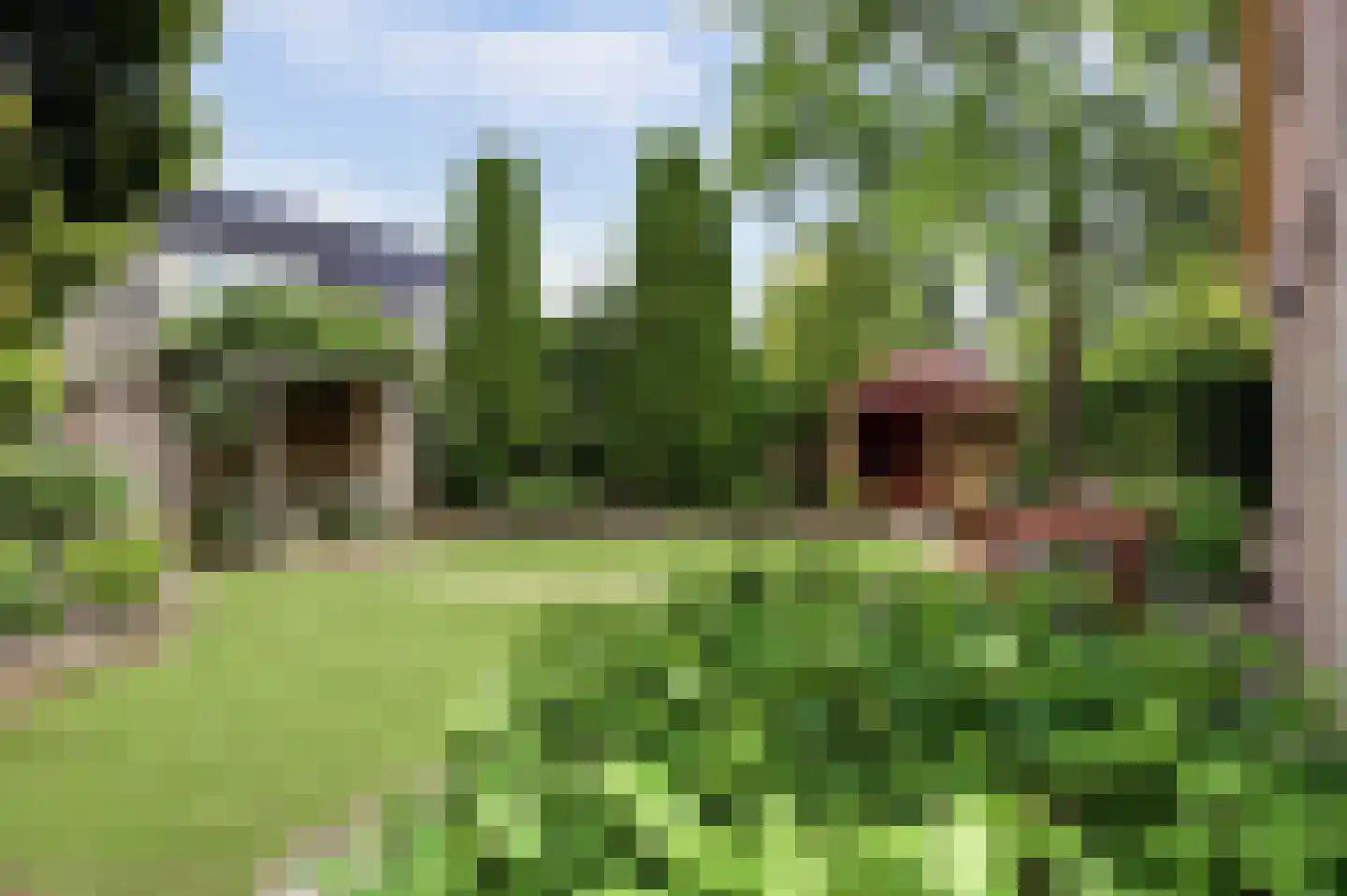 Vadersgroet 7 Zuid-Scharwoude thumbnail 49