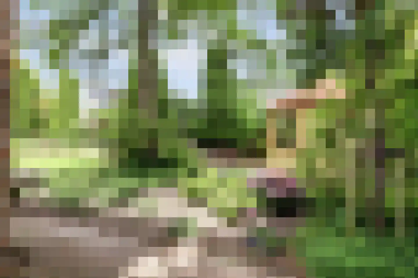 Vadersgroet 7 Zuid-Scharwoude thumbnail 53