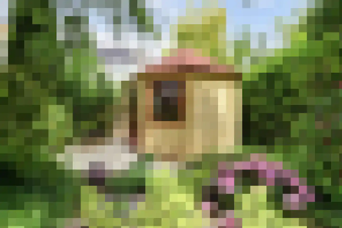 Vadersgroet 7 Zuid-Scharwoude thumbnail 54