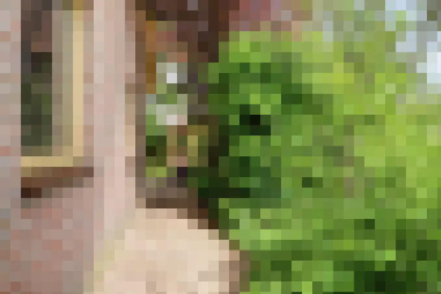 Vadersgroet 7 Zuid-Scharwoude thumbnail 56