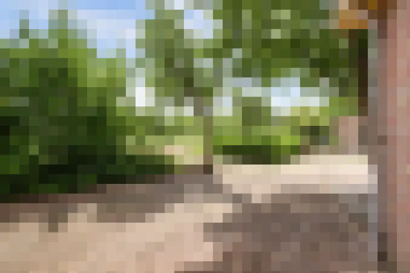 Vadersgroet 7 Zuid-Scharwoude thumbnail 57
