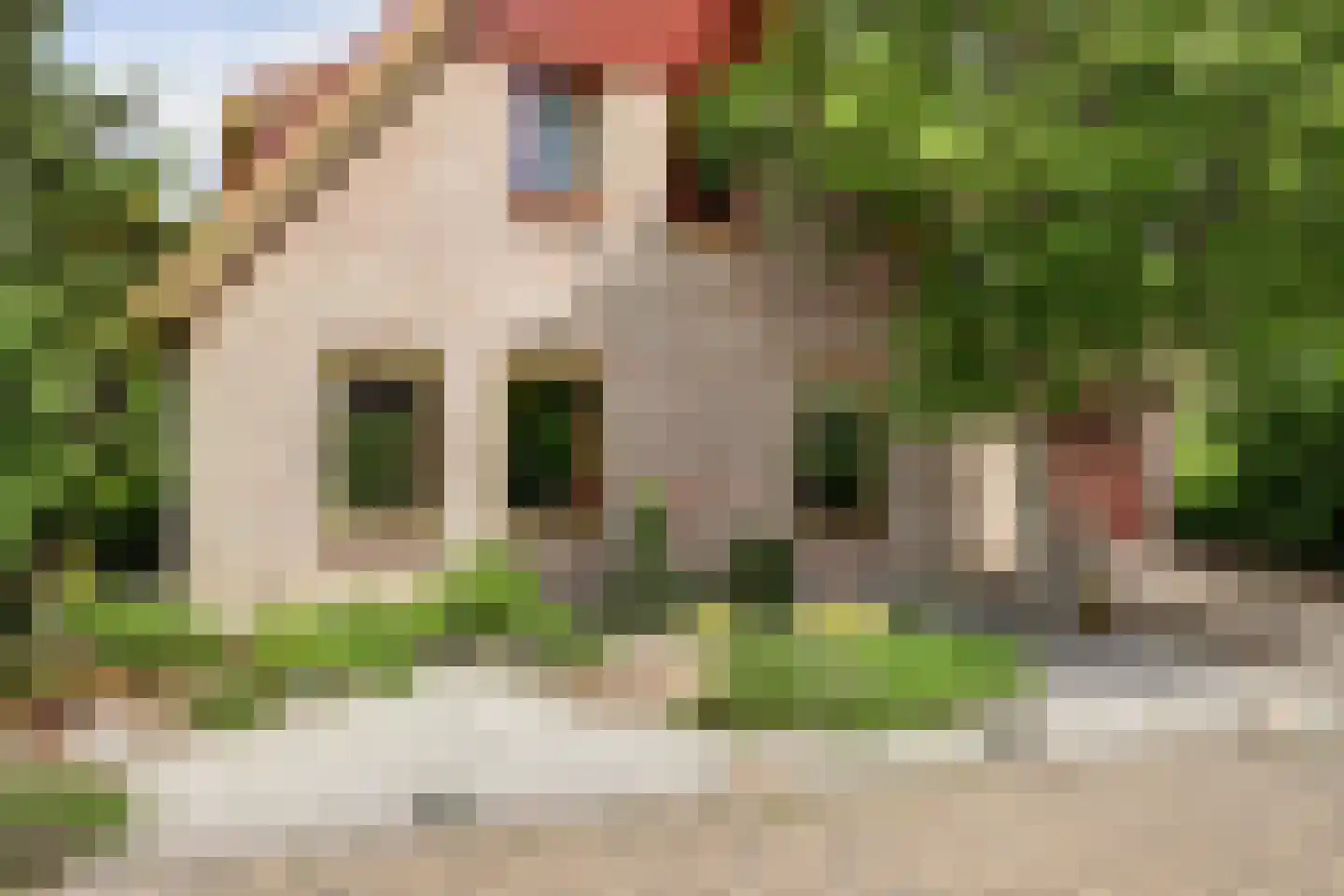 Vadersgroet 7 Zuid-Scharwoude thumbnail 58