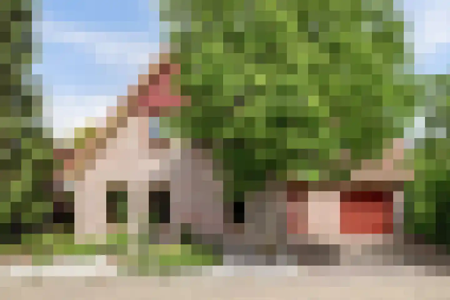 Vadersgroet 7 Zuid-Scharwoude thumbnail 59