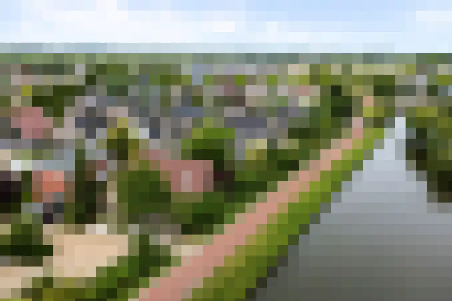 Vadersgroet 7 Zuid-Scharwoude thumbnail 63