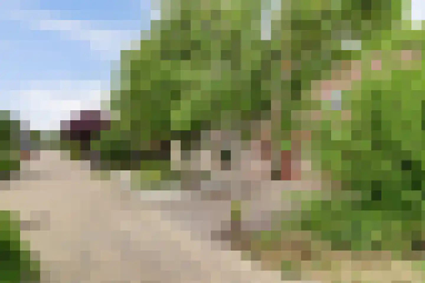 Vadersgroet 7 Zuid-Scharwoude thumbnail 65