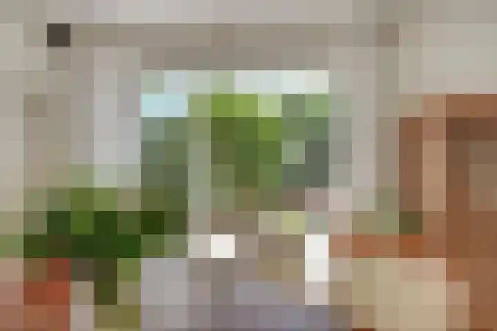 Vadersgroet 8 Zuid-Scharwoude thumbnail 13