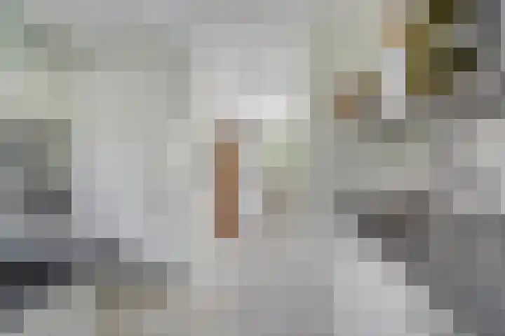 Vadersgroet 8 Zuid-Scharwoude thumbnail 17
