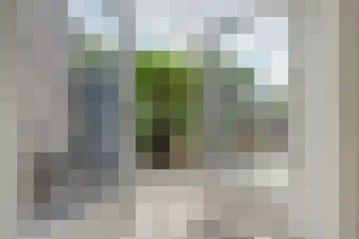 Vadersgroet 8 Zuid-Scharwoude thumbnail 19