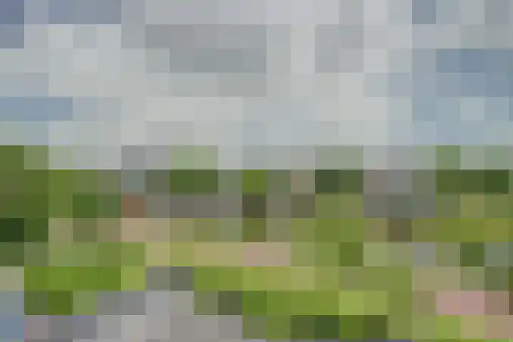 Vadersgroet 8 Zuid-Scharwoude thumbnail 29