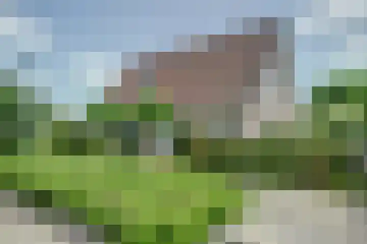 Vadersgroet 8 Zuid-Scharwoude thumbnail 4