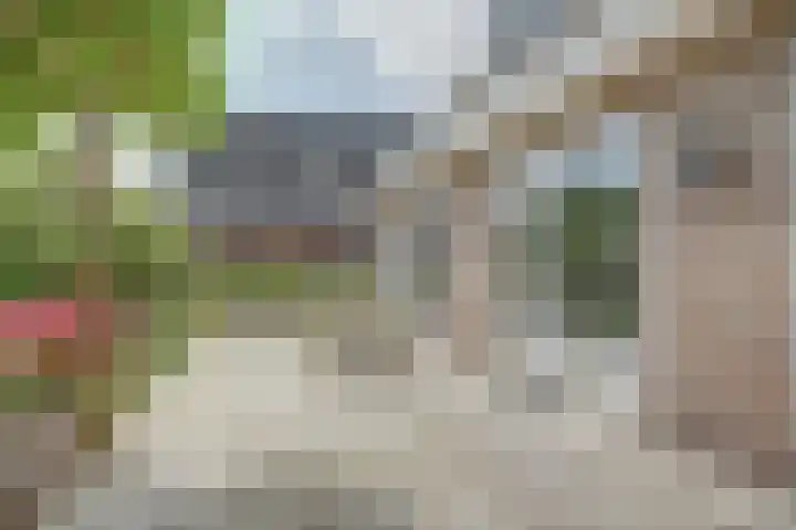 Vadersgroet 8 Zuid-Scharwoude thumbnail 41