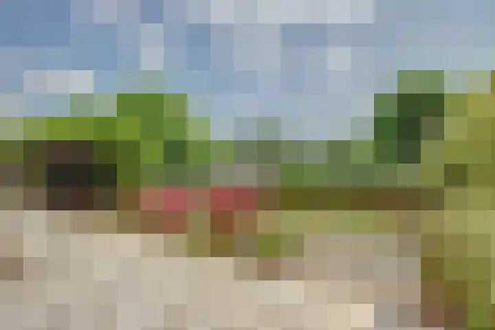 Vadersgroet 8 Zuid-Scharwoude thumbnail 43