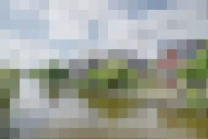 Vadersgroet 8 Zuid-Scharwoude thumbnail 44