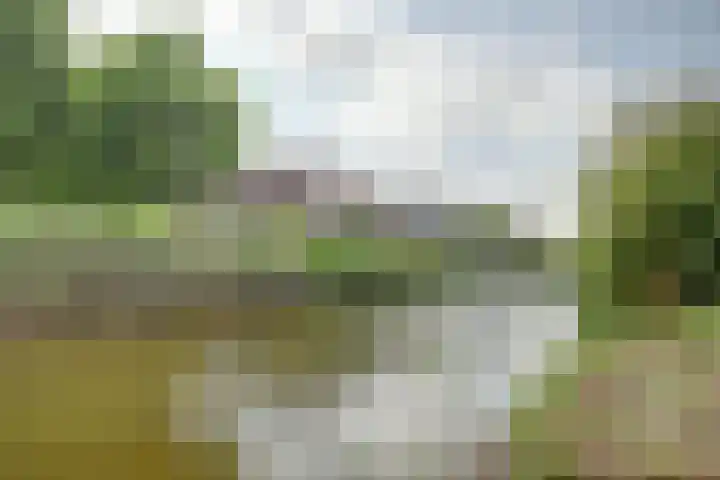 Vadersgroet 8 Zuid-Scharwoude thumbnail 45