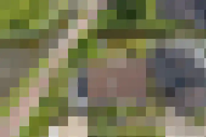 Vadersgroet 8 Zuid-Scharwoude thumbnail 46