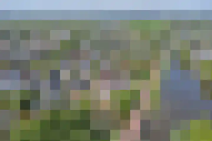 Vadersgroet 8 Zuid-Scharwoude thumbnail 47