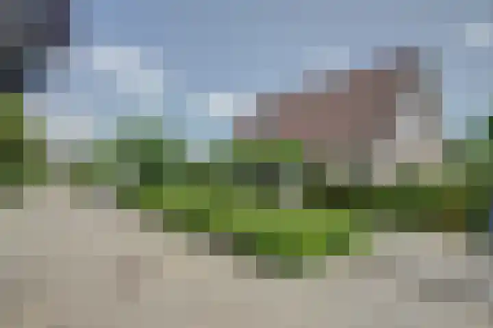 Vadersgroet 8 Zuid-Scharwoude thumbnail 48