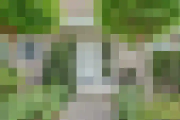 Vadersgroet 8 Zuid-Scharwoude thumbnail 5