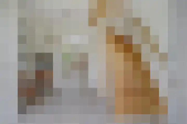 Vadersgroet 8 Zuid-Scharwoude thumbnail 6