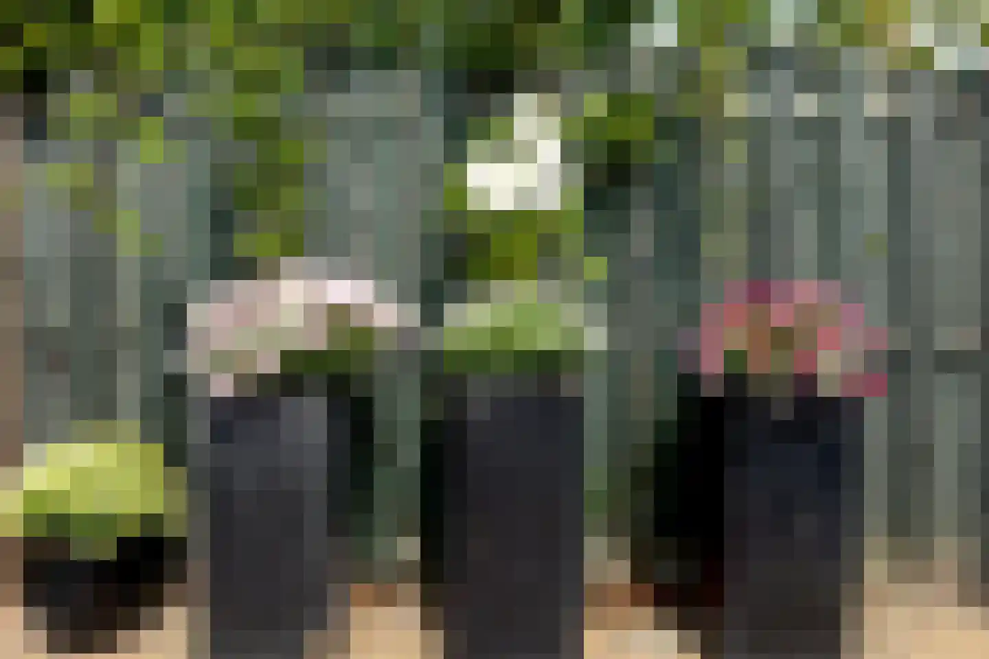 Vadinushof 36 De Meern thumbnail 23