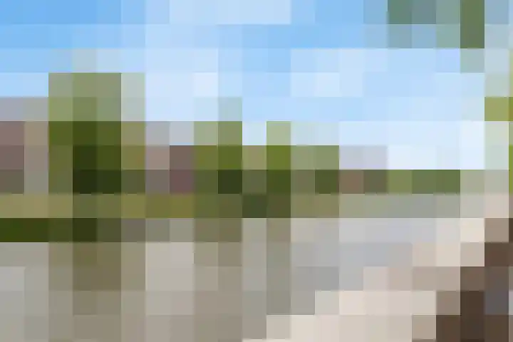Vaduzdijk 25 Utrecht thumbnail 36