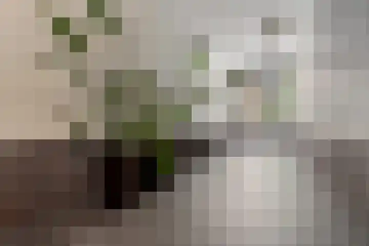 Vaduzdijk 25 Utrecht thumbnail 7