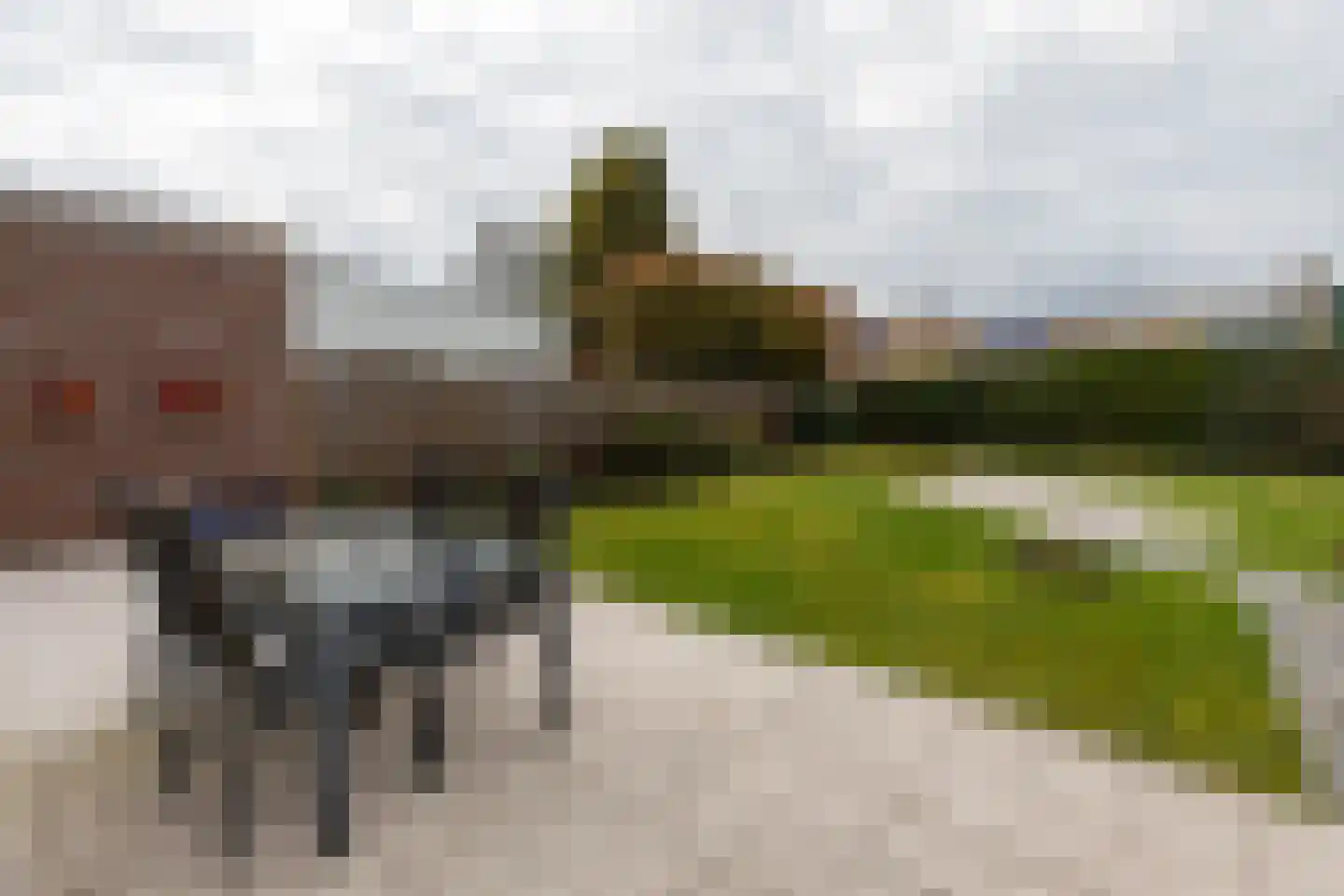 Vaechshof 12 Landgraaf thumbnail 16