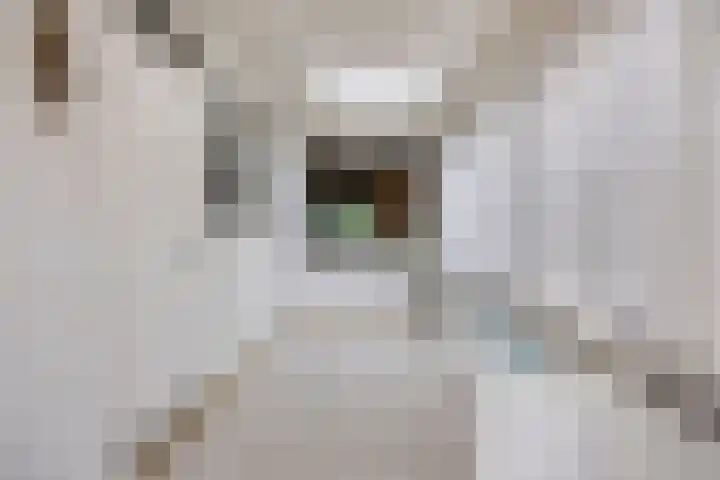 Vaesrade 19 Nuth thumbnail 14