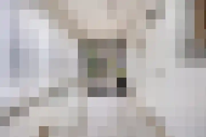 Vaesrade 19 Nuth thumbnail 15