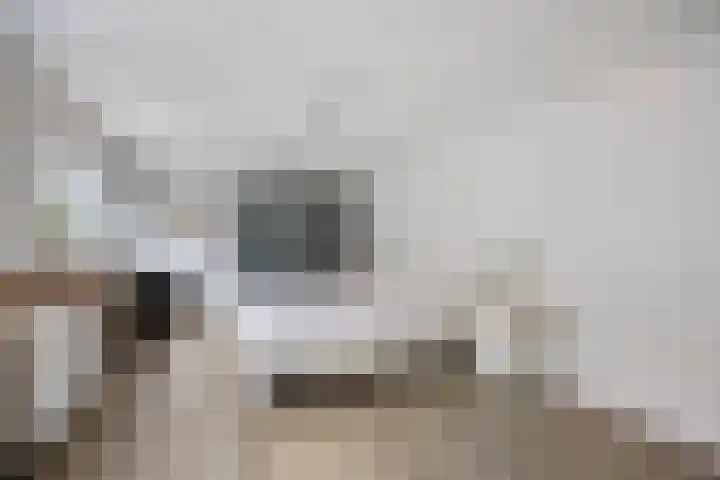 Vaesrade 19 Nuth thumbnail 19