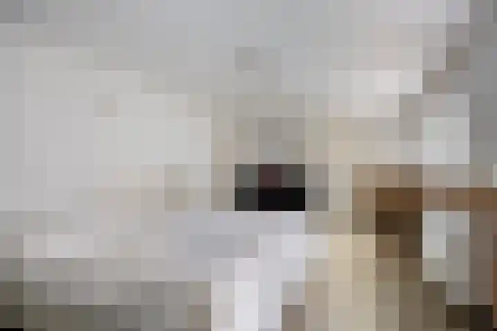 Vaesrade 19 Nuth thumbnail 20