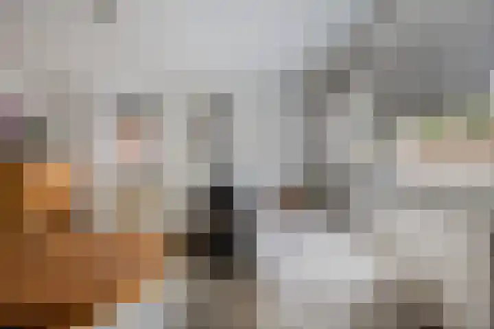 Vaesrade 19 Nuth thumbnail 21