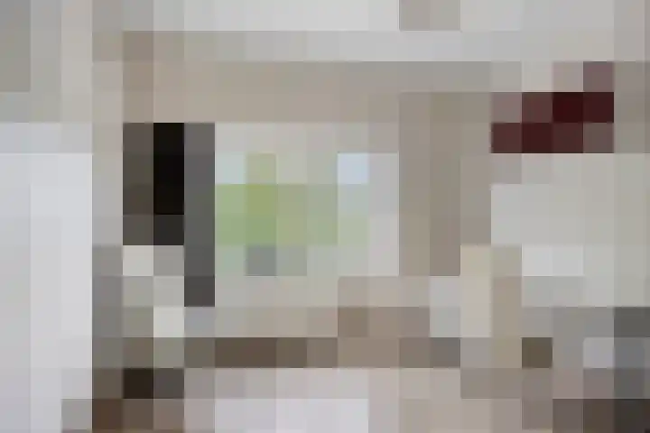 Vaesrade 19 Nuth thumbnail 25