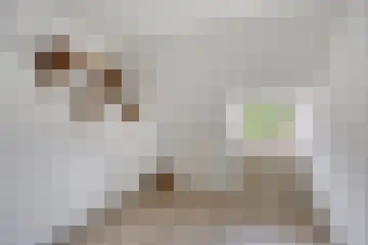 Vaesrade 19 Nuth thumbnail 31