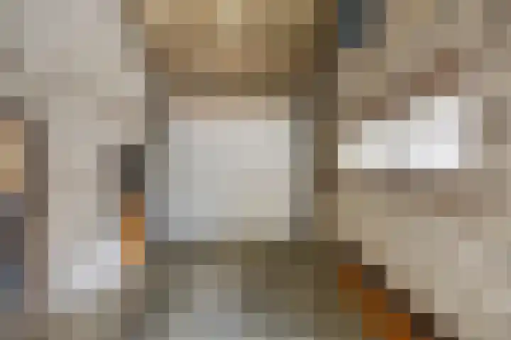 Vaesrade 19 Nuth thumbnail 36